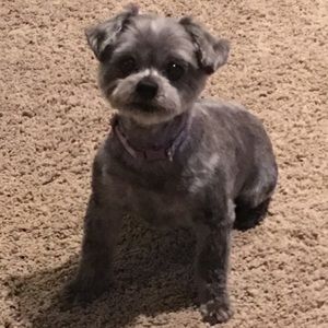 Meet your Posher, Darla